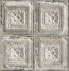 Aged Square Silver Ceiling Tile on Unpasted Wallpaper