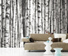 Birch Tree 8 Panel Unpasted Full Wall Mural 12' x 9'