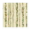 Birch Trees - Tree on Beige Background York Sure Strip Wallpaper - all4wallswall-paper