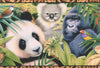 Jungle Safari Tiger Panda Gorilla Wallpaper Border