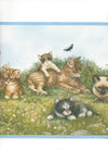 Kitten - Kittens and Playmates with Blue Edge Cat Wallpaper Border - all4wallswall-paper